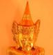 Goldhase