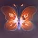 IronButterfly25